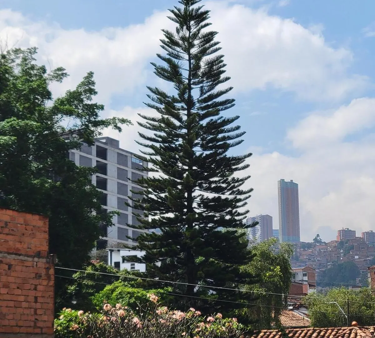 Apto Urbano Con Aire Privado Cool Bien Ubicado Medellín Colombia